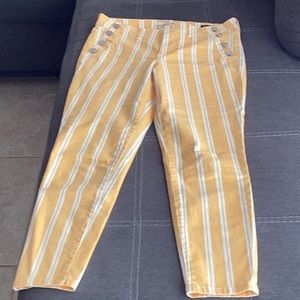Ella Moss pants